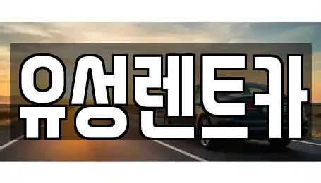 경상남도 창원시 성산구 외동 렌트카 전문 유성렌트카