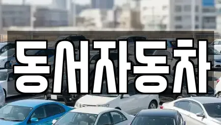 경상남도 창원시 성산구 용지동 중고차 전문 동서자동차