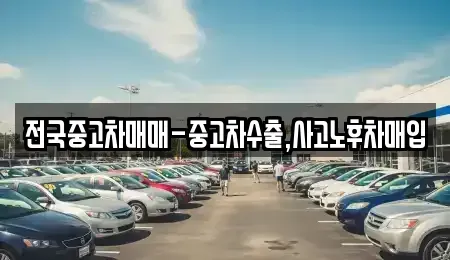 경상남도 창원시 성산구 용지동 중고차 전문 전국중고차매매-중고차수출,사고노후차매입
