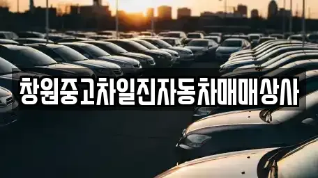 경상남도 창원시 의창구 동정동 중고차 전문 창원중고차일진자동차매매상사