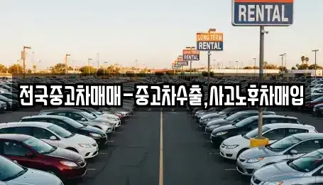 경상남도 창원시 의창구 동정동 중고차매입 전문 전국중고차매매-중고차수출,사고노후차매입