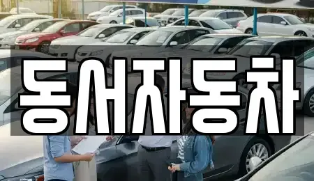 경상남도 창원시 의창구 봉곡동 중고차 전문 동서자동차