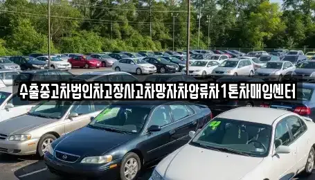 경상남도 창원시 의창구 봉곡동 중고차 전문 수출중고차법인차고장사고차망자차압류차1톤차매입센터