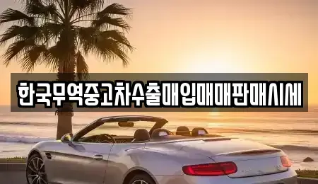 경상남도 창원시 의창구 소계동 중고차매입 전문 한국무역중고차수출매입매매판매시세