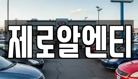 경상남도 창원시 진해구 경화동 렌트카 전문 제로알엔티