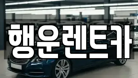 경상남도 창원시 진해구 경화동 렌트카 전문 행운렌트카