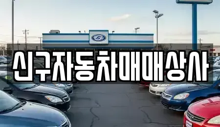 경상남도 창원시 진해구 덕산동 중고차매매 전문 신구자동차매매상사