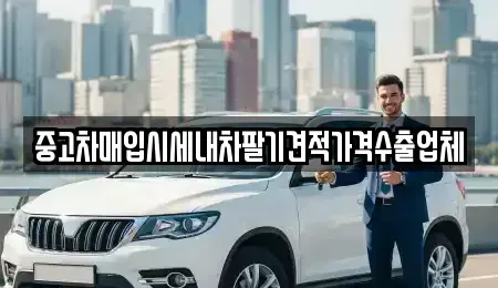 경상남도 창원시 진해구 덕산동 중고차매입 전문 중고차매입시세내차팔기견적가격수출업체