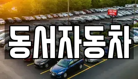 경상남도 함안군 산인면 중고차 전문 동서자동차