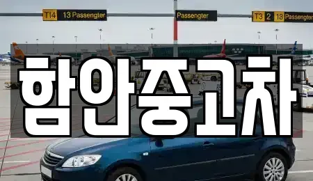 경상남도 함안군 산인면 중고차 전문 함안중고차