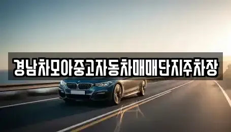 경상남도 함안군 산인면 중고차매매 전문 경남차모아중고자동차매매단지주차장