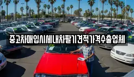 경상남도 함안군 산인면 중고차매입 전문 중고차매입시세내차팔기견적가격수출업체