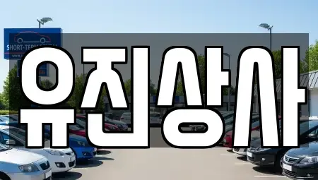 경상북도 경산시 옥곡동 중고차매매 전문 유진상사
