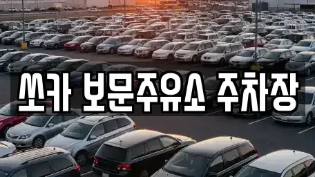 경상북도 경주시 천군동 렌트카 전문 쏘카 보문주유소 주차장