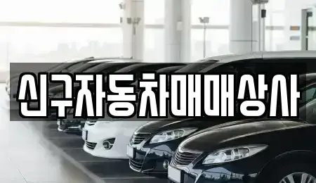 경상북도 경주시 천군동 중고차 전문 신구자동차매매상사