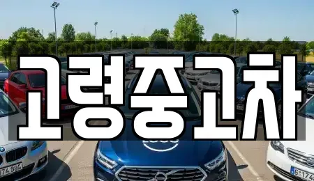 경상북도 고령군 쌍림면 중고차 전문 고령중고차