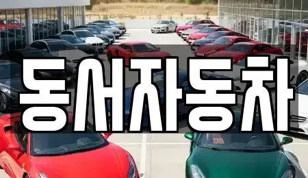 경상북도 김천시 문당동 단기렌트카,중고차매입,중고차매매,중고차,렌트카,장기렌트카