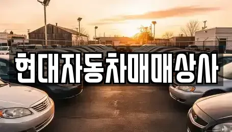 경상북도 김천시 문당동 중고차매매 전문 현대자동차매매상사