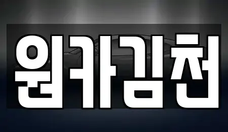 경상북도 김천시 지좌동 렌트카 전문 원카김천