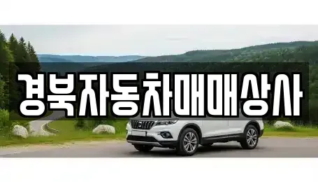 경상북도 김천시 지좌동 중고차매매 전문 경북자동차매매상사