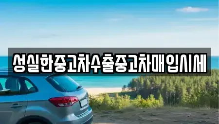 경상북도 김천시 지좌동 중고차매입 전문 성실한중고차수출중고차매입시세
