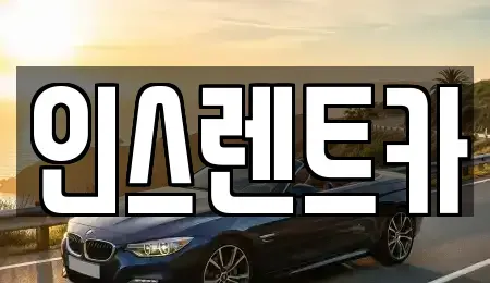 경상북도 안동시 금곡동 단기렌트카 전문 인스렌트카