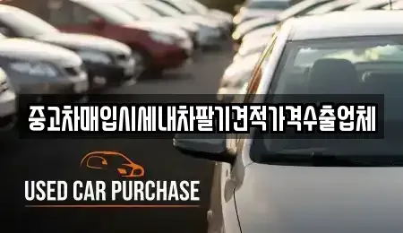 경상북도 안동시 금곡동 중고차매매 전문 중고차매입시세내차팔기견적가격수출업체