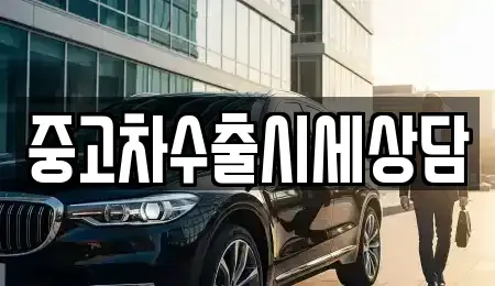 경상북도 안동시 금곡동 중고차매매 전문 중고차수출시세상담