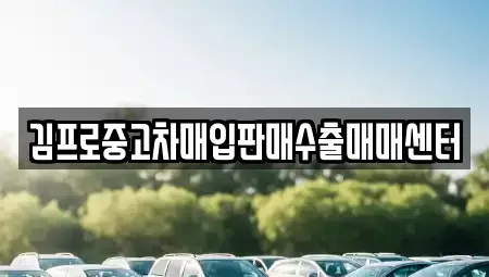 경상북도 안동시 금곡동 중고차매입 전문 김프로중고차매입판매수출매매센터