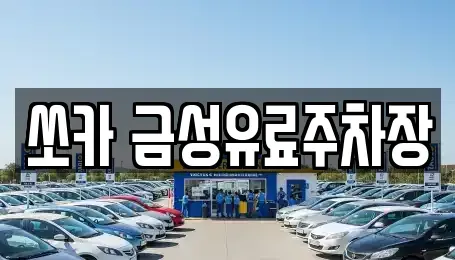 경상북도 안동시 법흥동 렌트카 전문 쏘카 금성유료주차장