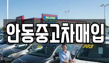 경상북도 안동시 법흥동 중고차 전문 안동중고차매입
