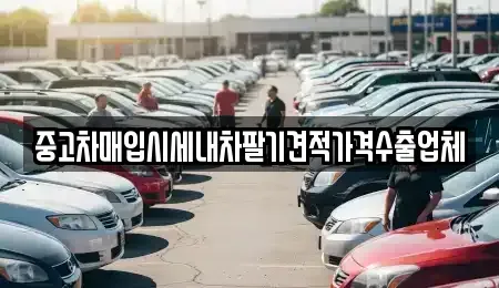 경상북도 안동시 법흥동 중고차 전문 중고차매입시세내차팔기견적가격수출업체