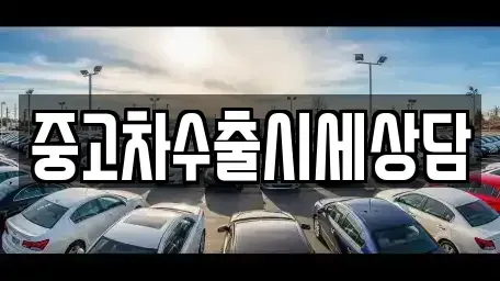 경상북도 안동시 법흥동 중고차 전문 중고차수출시세상담