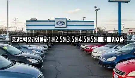 경상북도 안동시 법흥동 중고차매입 전문 중고트럭중고화물차1톤2.5톤3.5톤4.5톤5톤매매매입수출