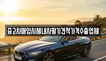 경상북도 영양군 수비면 중고차 전문 중고차매입시세내차팔기견적가격수출업체