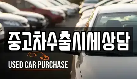 경상북도 영천시 도림동 중고차 전문 중고차수출시세상담