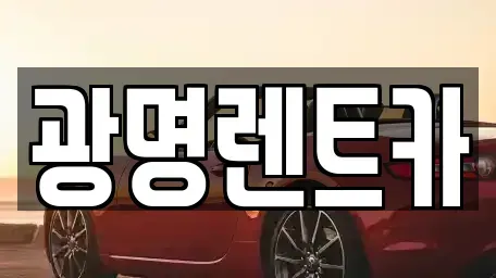 경상북도 포항시 북구 학산동 렌트카 전문 광명렌트카