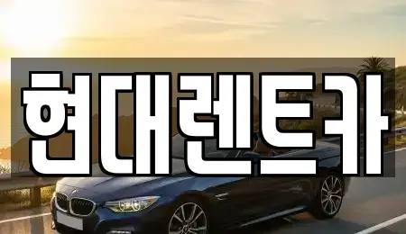 경상북도 포항시 북구 학산동 렌트카 전문 현대렌트카