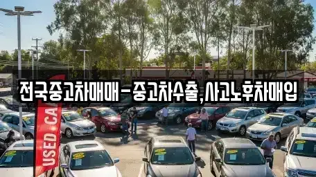 경상북도 포항시 북구 학산동 중고차 전문 전국중고차매매-중고차수출,사고노후차매입