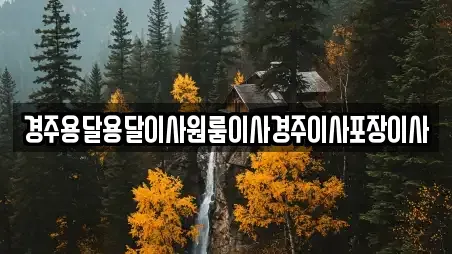 경주용달용달이사원룸이사경주이사포장이사