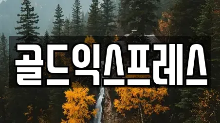 골드익스프레스