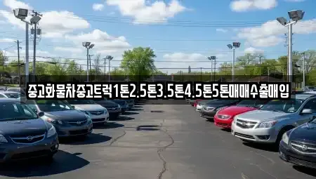 광주 광산구 두정동 중고차매입 전문 중고화물차중고트럭1톤2.5톤3.5톤4.5톤5톤매매수출매입