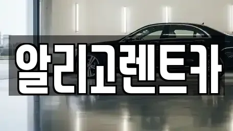 광주 단기렌트카 전문 알리고렌트카