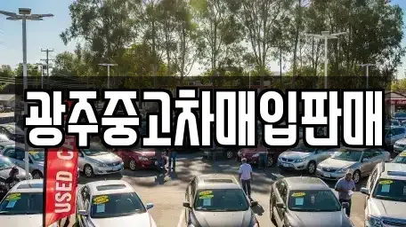광주 북구 임동 중고차매매 전문 광주중고차매입판매