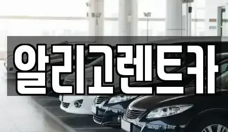 광주 서구 서창동 렌트카 전문 알리고렌트카