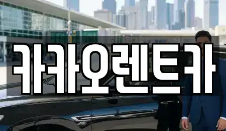 광주 서구 서창동 렌트카 전문 카카오렌트카