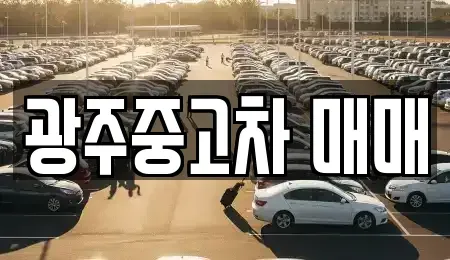 광주 서구 서창동 중고차 전문 광주중고차 매매