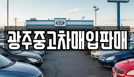 광주 서구 서창동 중고차매입 전문 광주중고차매입판매