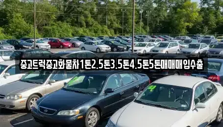 광주 서구 서창동 중고차매입 전문 중고트럭중고화물차1톤2.5톤3.5톤4.5톤5톤매매매입수출
