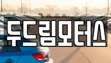 광주 중고차 전문 두드림모터스